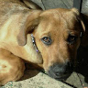 Meet your Posher, Shelly